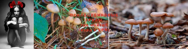 амфетамин Абаза