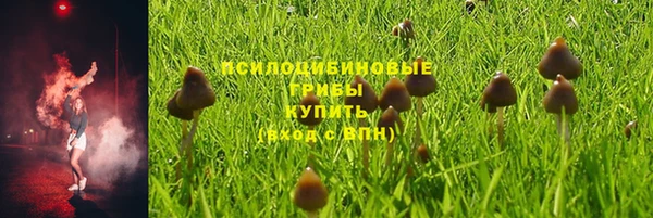 ешки Алзамай