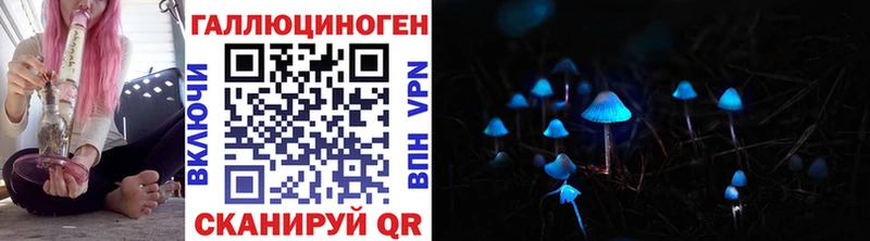 Псилоцибиновые грибы GOLDEN TEACHER  Димитровград 